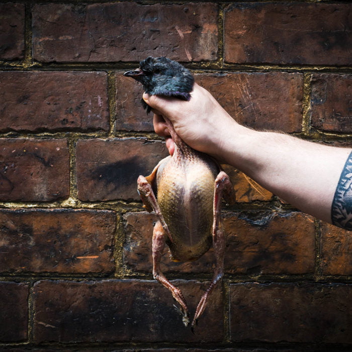 yorkshire_game_masterclass yorkshire_game_masterclass
