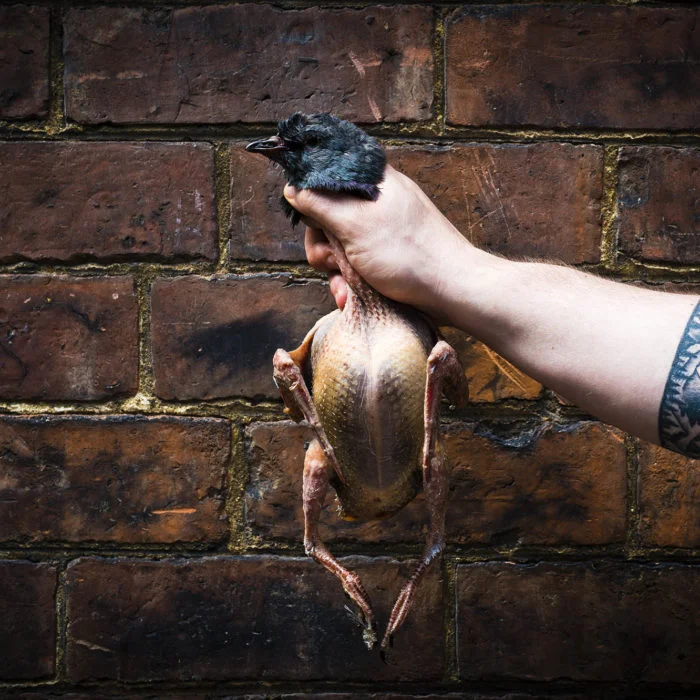 yorkshire_game_masterclass yorkshire_game_masterclass