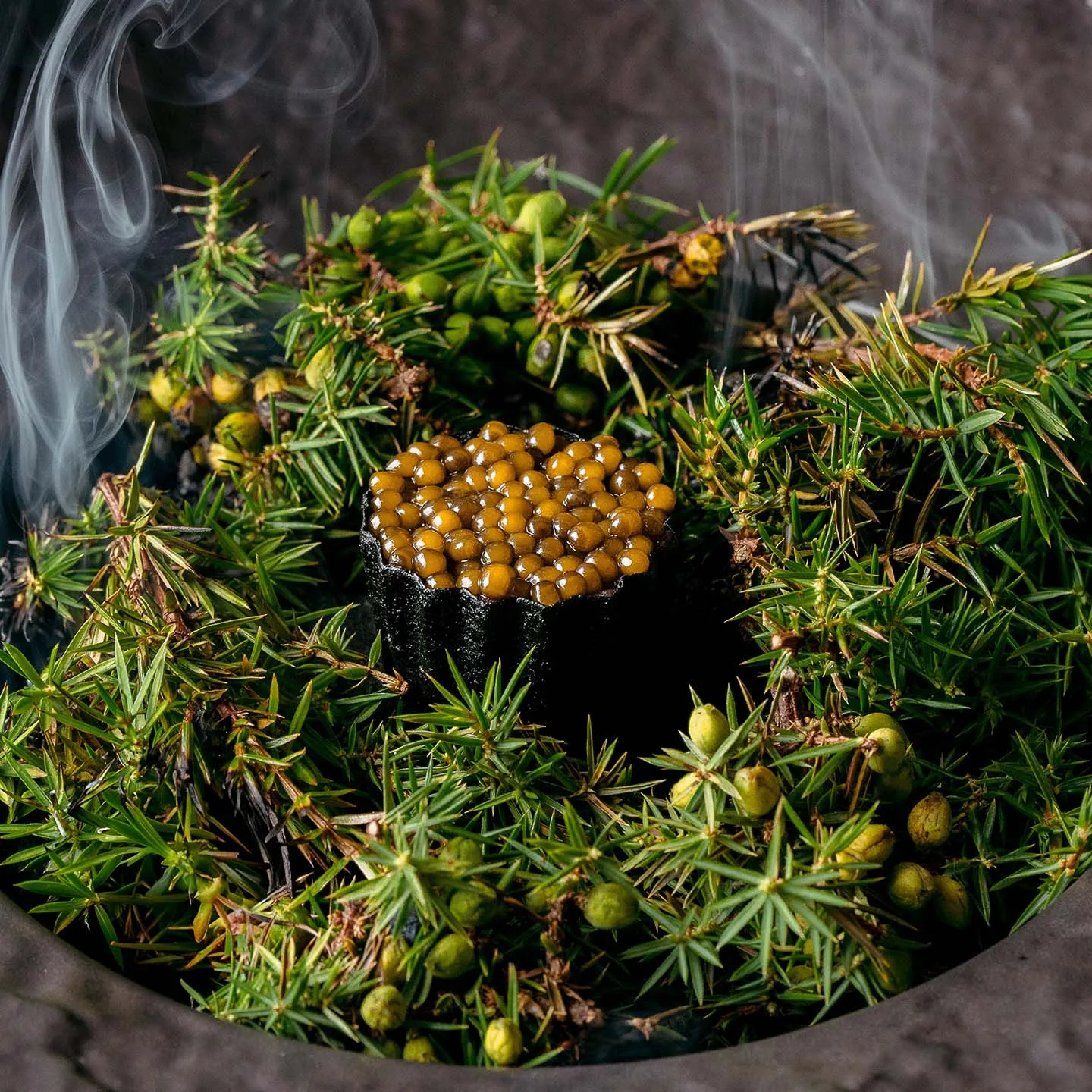 Close-up shot of Myse Restaurant dish featuring charcoal pie with raw roe deer and smoked caviar, and smoking juniper stems